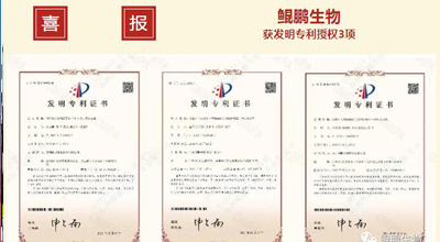 乐鱼生物 | 核心平台技术获得中国发明专利