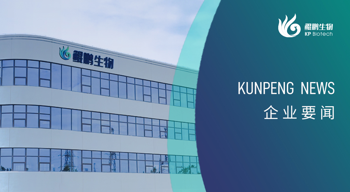 宁波乐鱼新添两项政府荣誉认定 创新发展再获认可